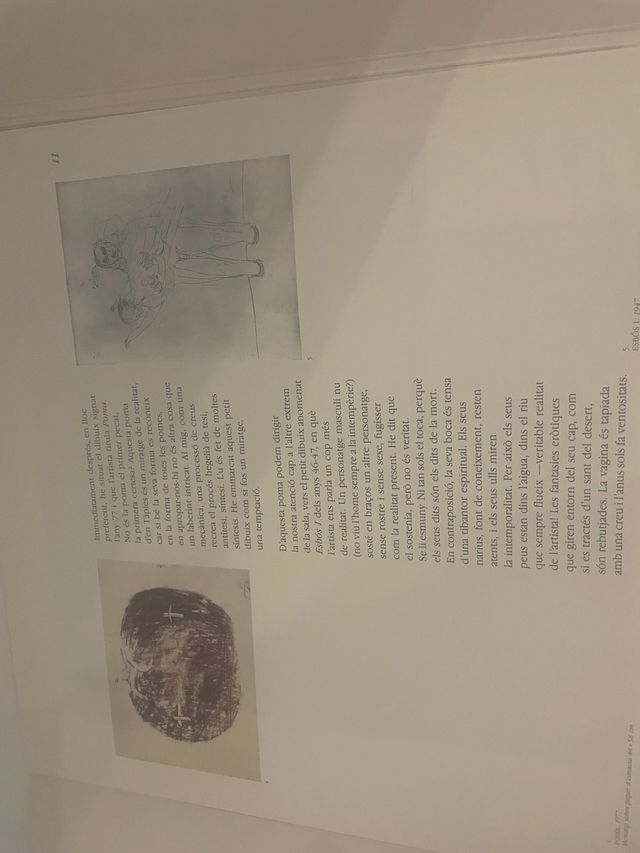 L’ ansietat de les influències