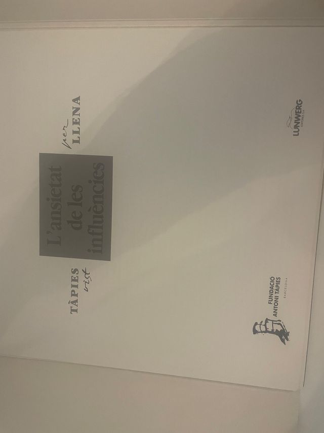 L’ ansietat de les influències