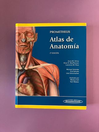 Prometheus. Atlas de Anatomía (Spanish Edition)