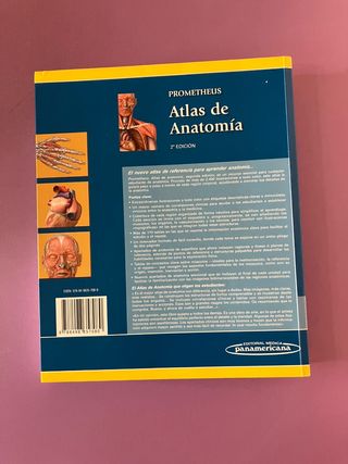 Prometheus. Atlas de Anatomía (Spanish Edition)