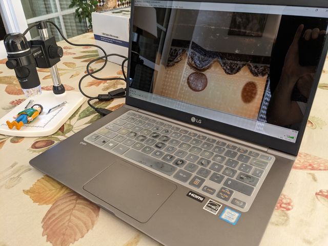 Microscopio digital USB