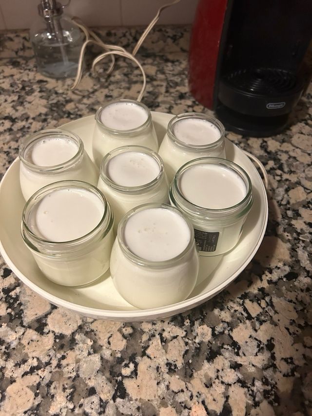 Yogurtera moulinex vintage