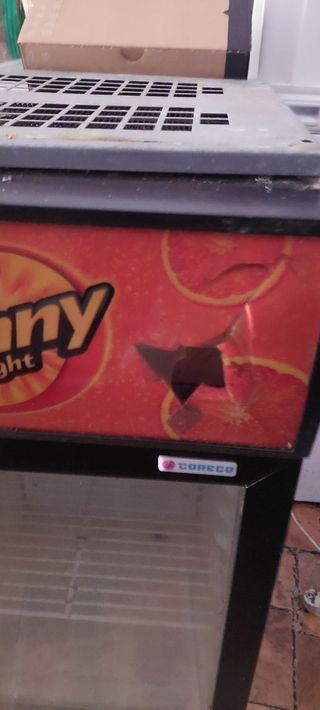 Neveras Sunny delight