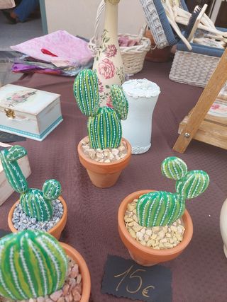 Cactus piedra