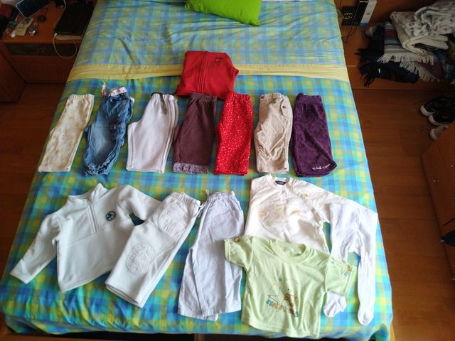 Lote ropa 9/12 meses