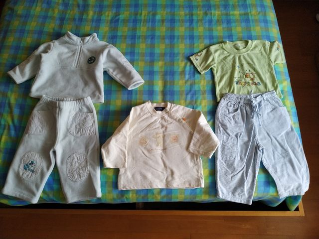 Lote ropa 9/12 meses