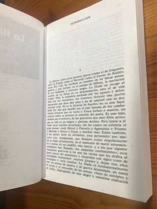 La Iliada