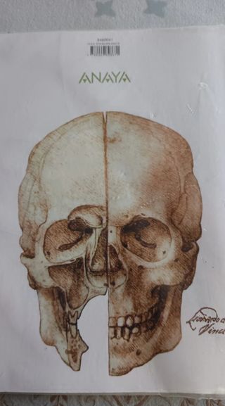 Libro de anatomía ISBN 978-84-698-2867-0