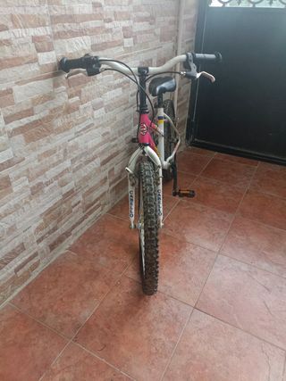 Bicicleta 20" rosa para niña/o