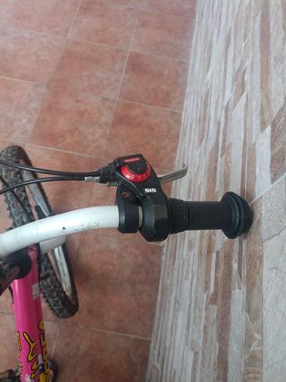 Bicicleta 20" rosa para niña/o