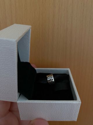 Charm corona Pandora O