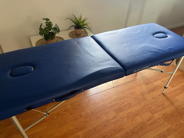 Camilla plegable de aluminio EASY 180 x 60 cm