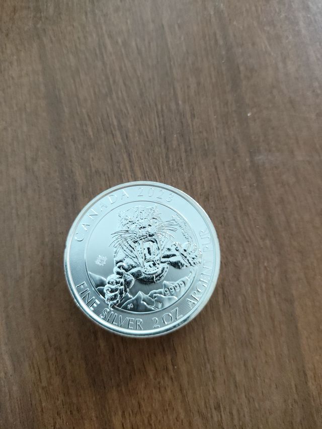 Moneda de 2 Onzas plata 999