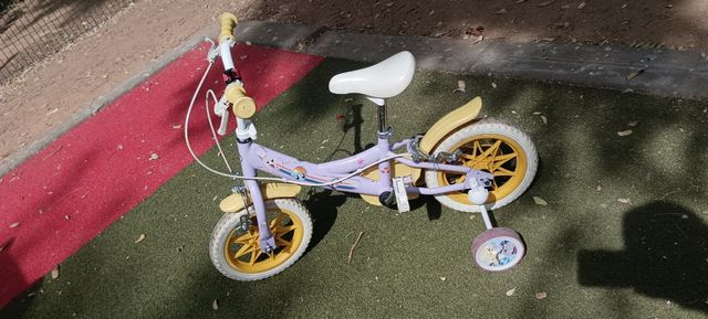 Bicicleta con ruedines