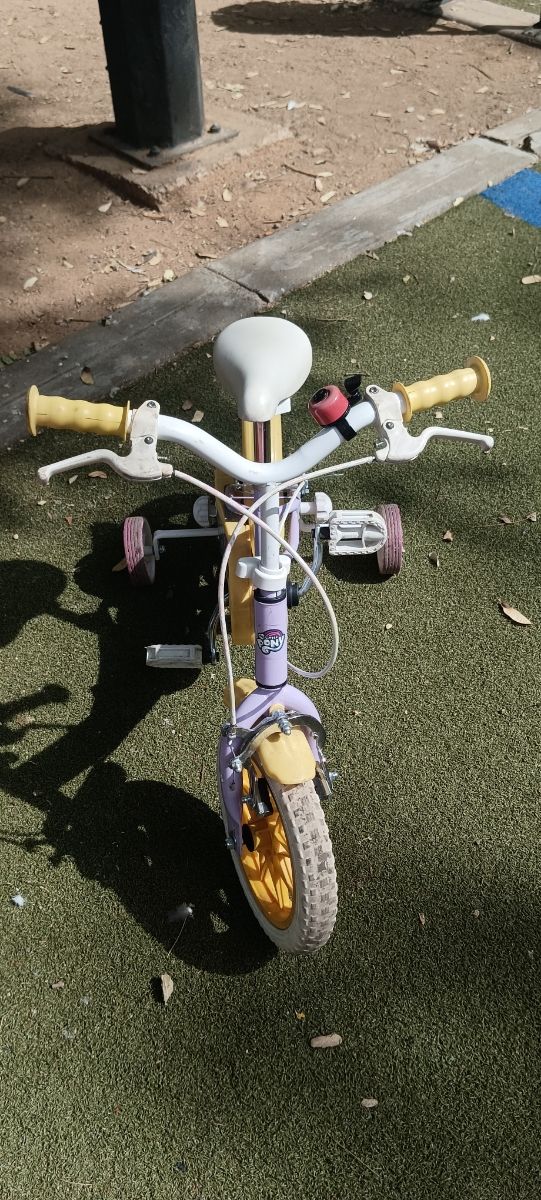 Bicicleta con ruedines