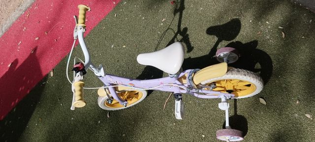 Bicicleta con ruedines