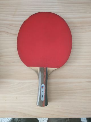 Raqueta tenis de mesa Lion