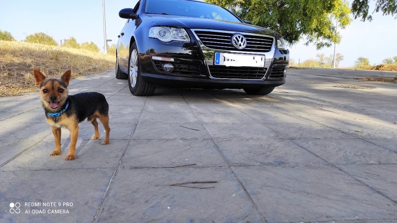 Volkswagen Passat 2006 - foto 1