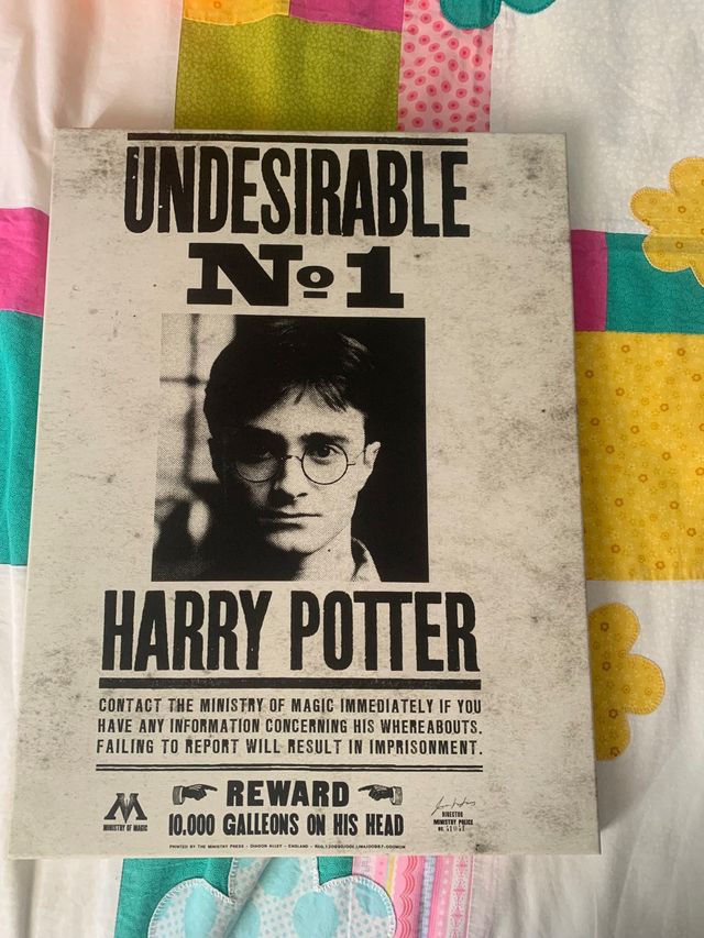 Cuadro harry potter