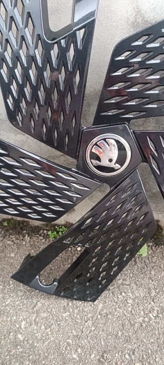 Tapacubos "Skoda karoq"