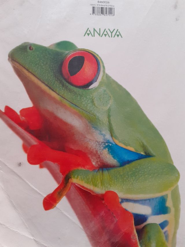 Inicia Lengua Castellana y Literatura 1.º Bachillerato. Libro del alumno