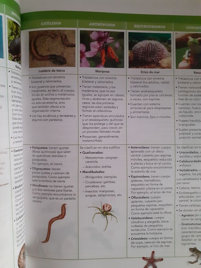 Inicia Lengua Castellana y Literatura 1.º Bachillerato. Libro del alumno