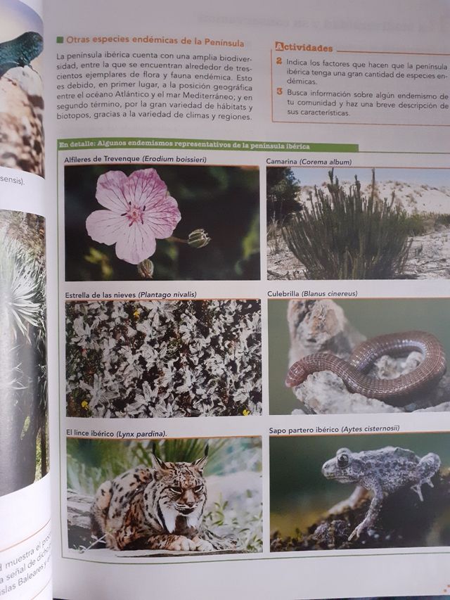 Inicia Lengua Castellana y Literatura 1.º Bachillerato. Libro del alumno