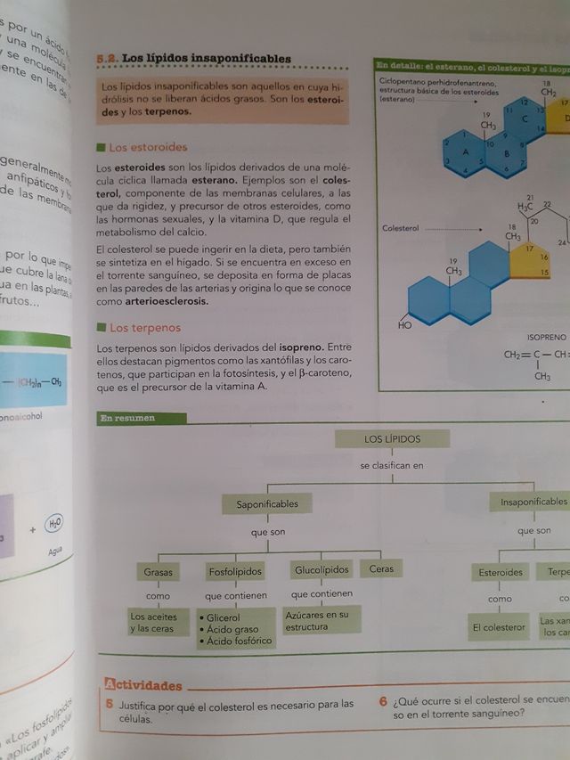 Inicia Lengua Castellana y Literatura 1.º Bachillerato. Libro del alumno