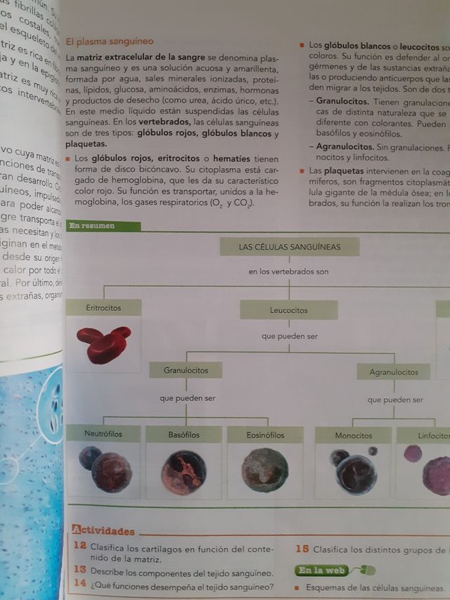 Inicia Lengua Castellana y Literatura 1.º Bachillerato. Libro del alumno