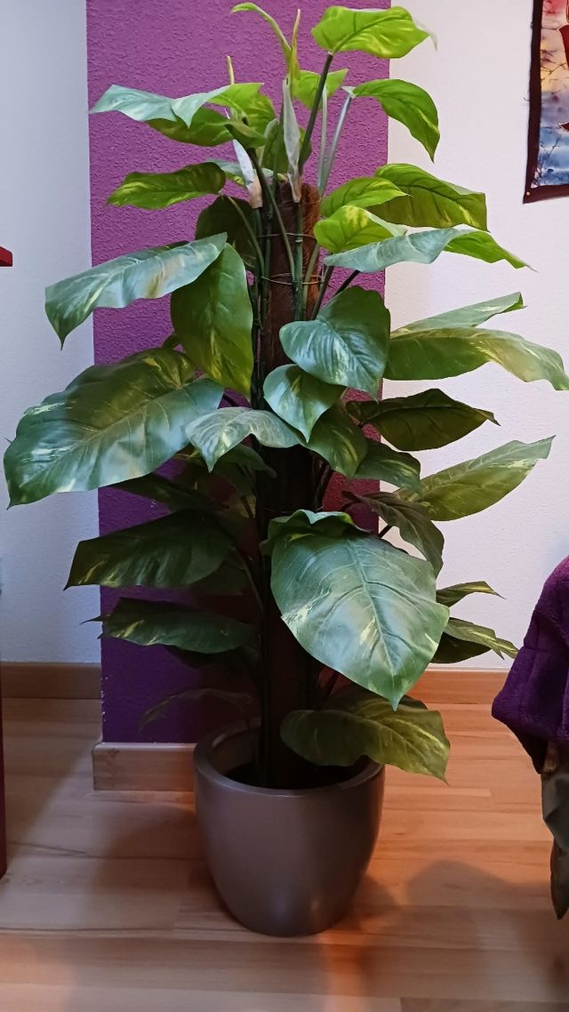 Planta de tela decorativa