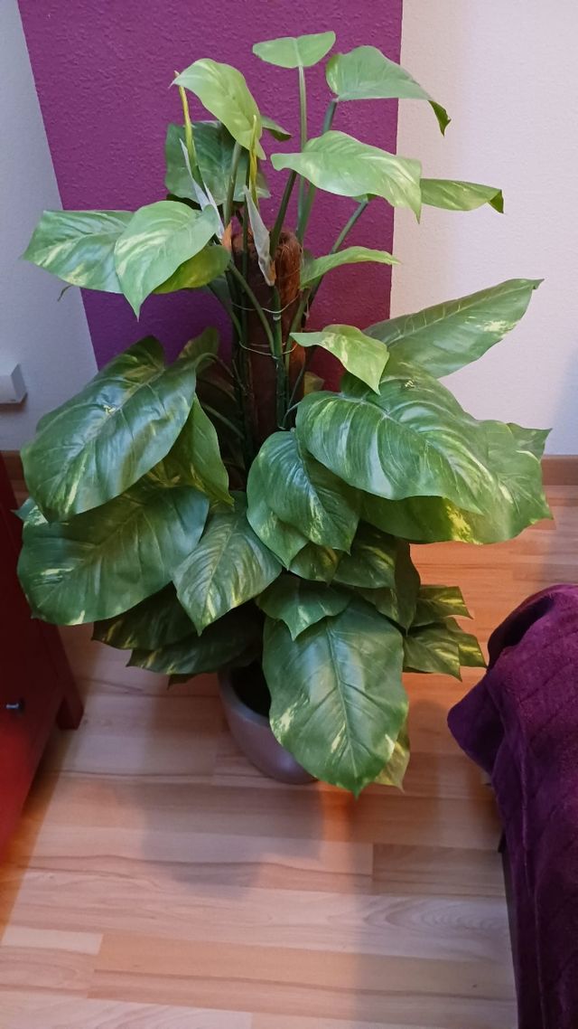 Planta de tela decorativa