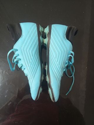 Zapatillas futbol niño Adidas Predator