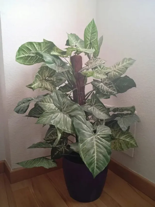 Planta artificial decorativa
