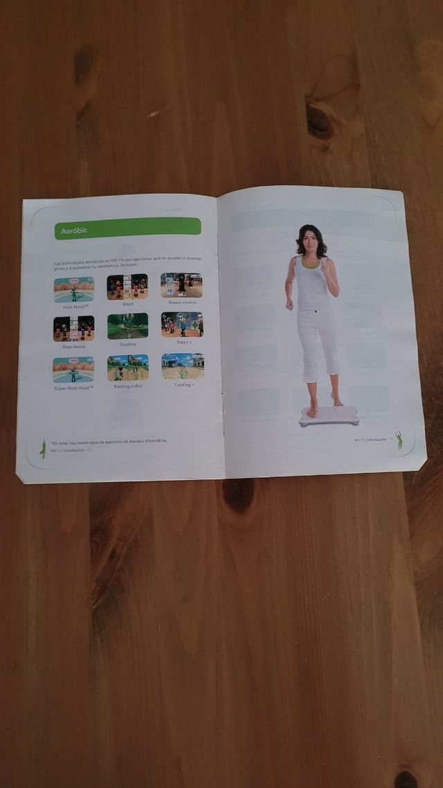 Manual Wii Fit