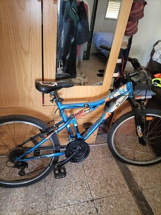Bicicleta 