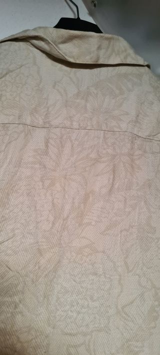 Camicie uomo Wstiva colpr panna 