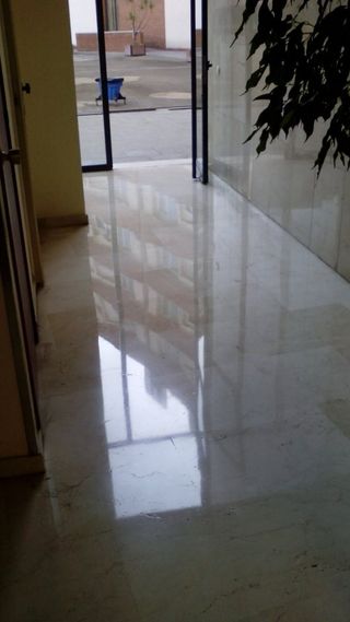 ABRILLANTADOS/POLIT TERRES