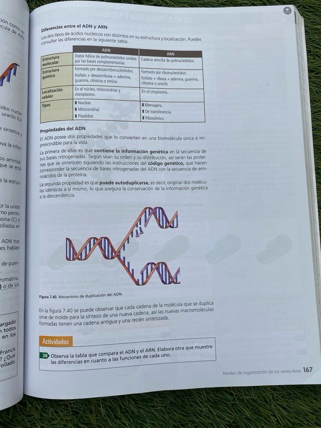 Libro Biología y Geología 1º Bachillerato