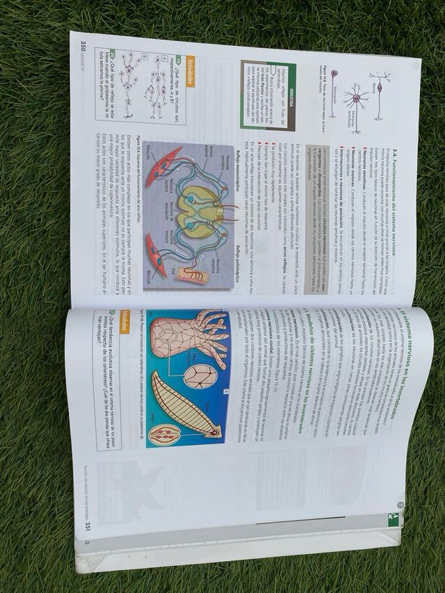 Libro Biología y Geología 1º Bachillerato