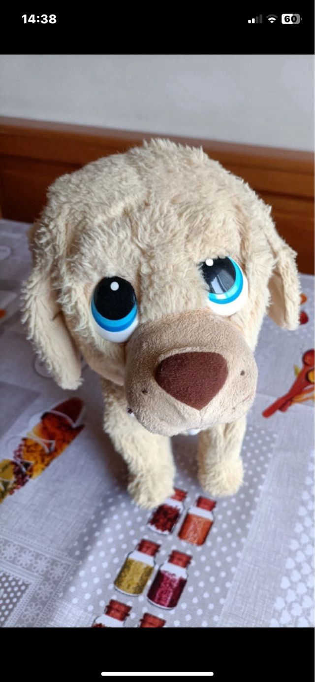 Gioco peluche co pile