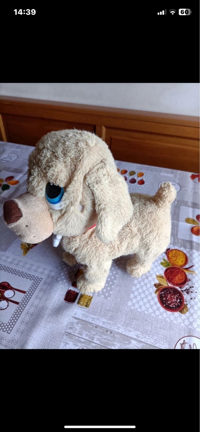Gioco peluche co pile