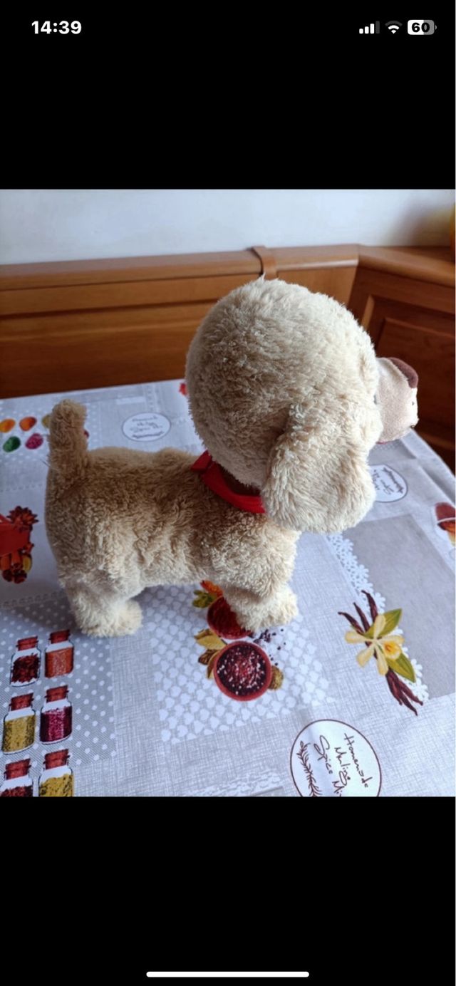 Gioco peluche co pile