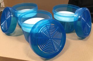 Confezione da 5, assorbe l'umidità, rotonda blu