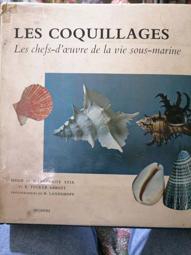 Les Coquillages