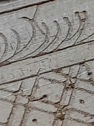 Antiguo libro de oraciones Sutra Burmano
