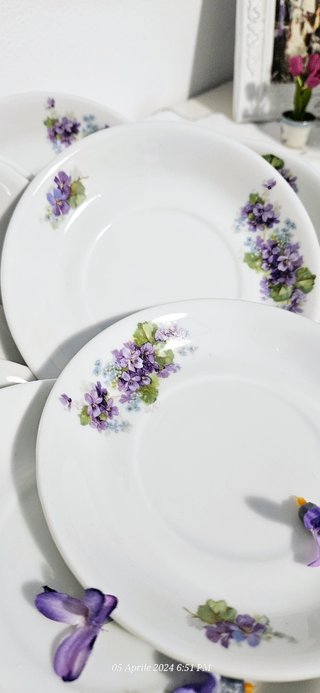 Set di piattini con  le violette