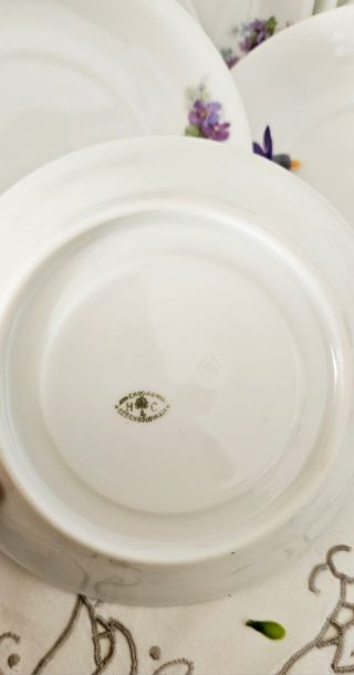 Set di piattini con  le violette