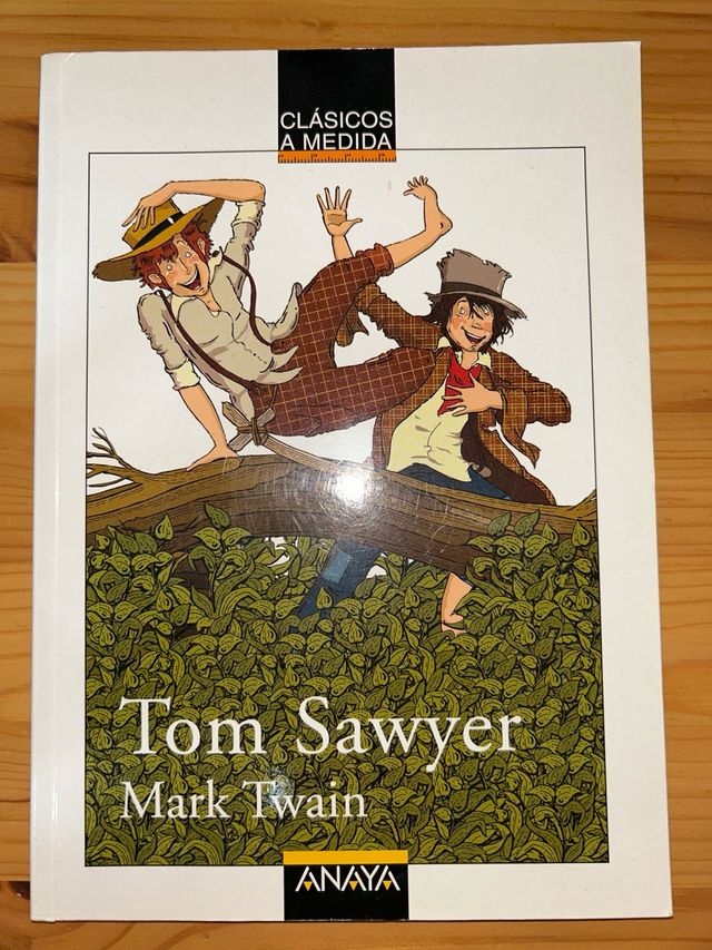 Libro Tom Sawyer