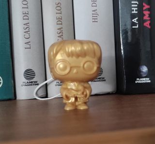 Harry Potter dorado