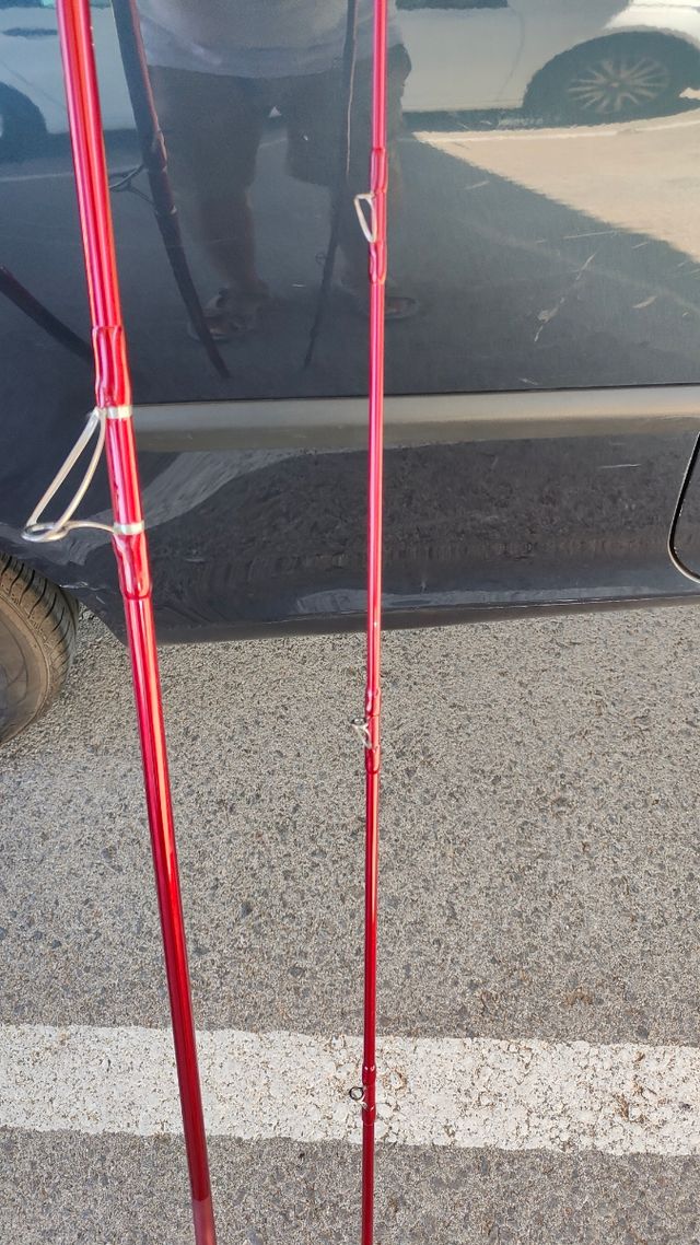 Cañas Daiwa Tournament Caster 30-425 Tub